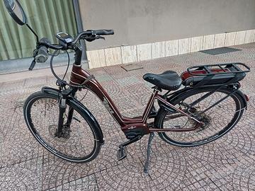 bicicletta elettrica 