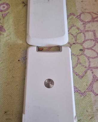 0841-Cellulare Motorola Gleam