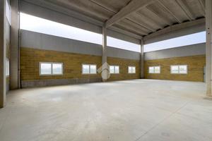 CAPANNONE A POZZOLO FORMIGARO