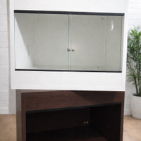 Teche - Terrari per rettili cm 50/60 noce o bianco