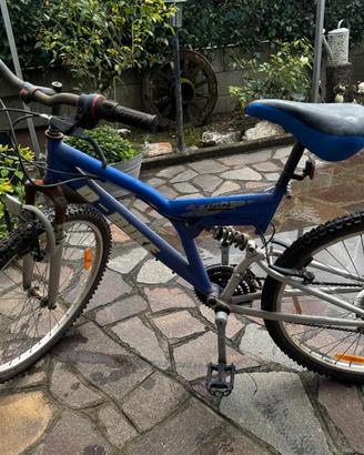 biciclette