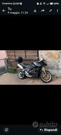 moto triumph 