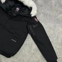 canada goose