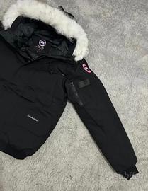 canada goose