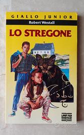 Libro per ragazzi Lo stregone di R. Westall 