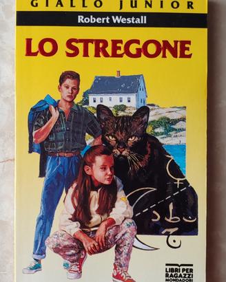 Libro per ragazzi Lo stregone di R. Westall 
