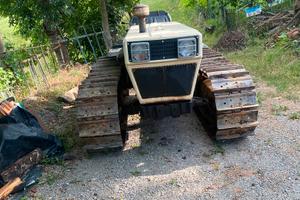 Trattore cingolato Lamborghini C653
