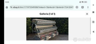 gabbia per conigli 3 fattrici 16 da ingrasso