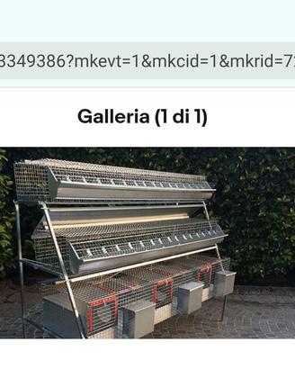 gabbia per conigli 3 fattrici 16 da ingrasso