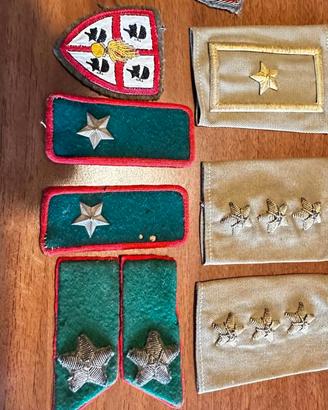 Mostrine militari Italiane