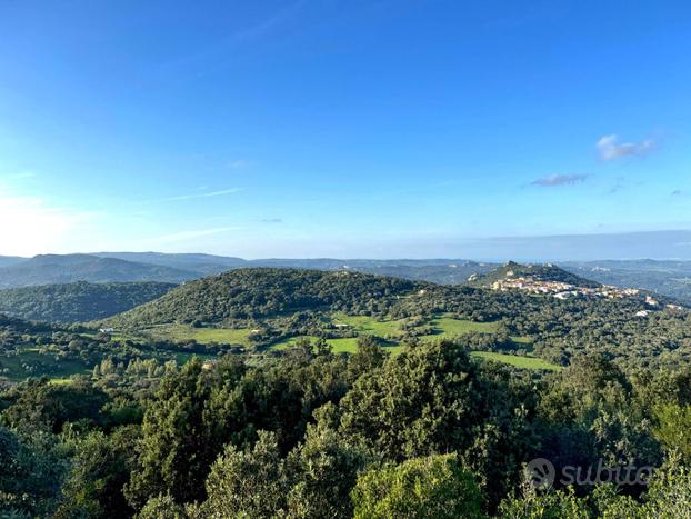 TERRENO AGRICOLO 