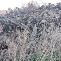 legna stagionata di olivo