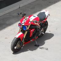 Triumph Speed Triple 1050 Custom