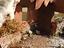 Immagine 4