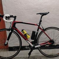 Wilier Triestina GTR Team 56