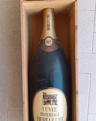 Bottiglia vuota di

BERLUCCHI CUVEE IMPERIALE