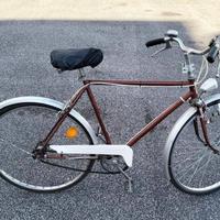 Bicicletta da passeggio modello President