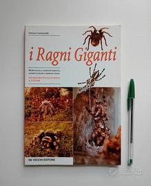 I Ragni Giganti di Simone Caratozzolo