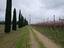 Immagine 6