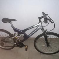 bicicletta da ragazzo