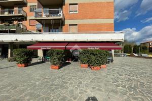 ATTIVITÀ A SAN GIOVANNI VALDARNO