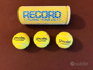 Palline da tennis