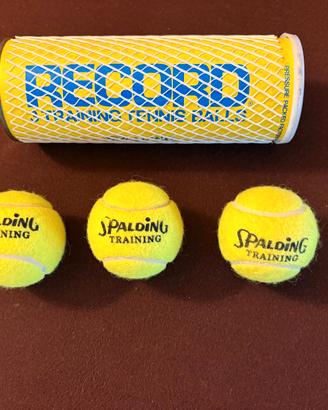 Palline da tennis