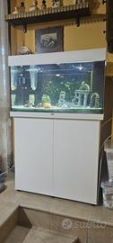 ACQUARIO