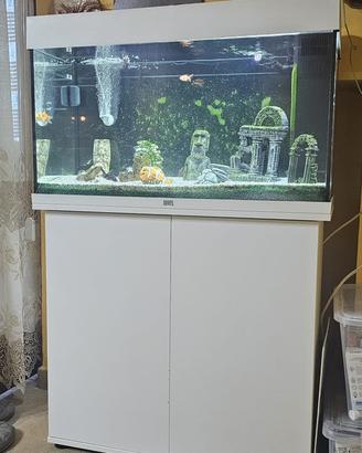 ACQUARIO