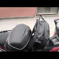 Borse semirigide shad