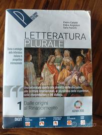 Letteratura plurale 1
