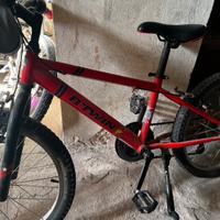 Bici da 20 per gemelli