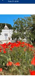 Trullo panoramico
