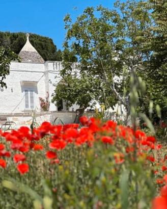 Trullo panoramico