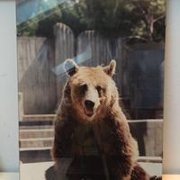 foto in cornice di vetro