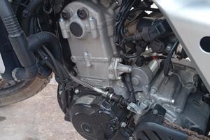 Caballero 250