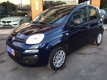 Fiat Panda 1.2 Easy 69 CV X NEOPATENTATI