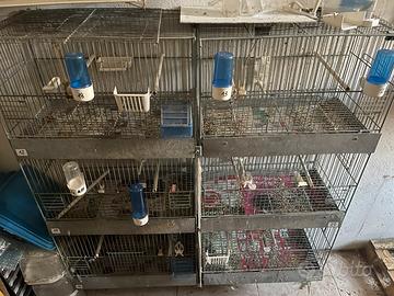 Batteria gabbie 45 castello