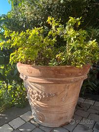 Vaso terracotta