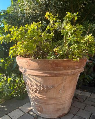 Vaso terracotta