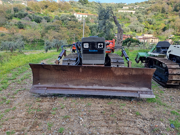 Trattore / Landini 5500 - 1980