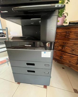 Stampante Toshiba