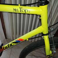 Bicicletta mtb