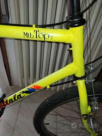 Bicicletta mtb
