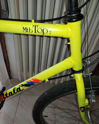 Bicicletta mtb