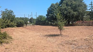 Terreno Torviscosa