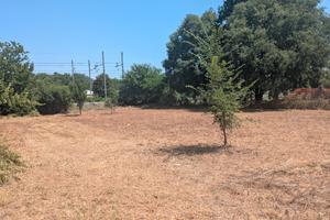 Terreno Torviscosa