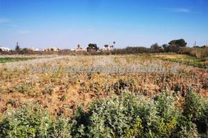 Terreno agricolo 4000 mq zona Birgi