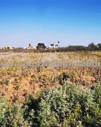 Terreno agricolo 4000 mq zona Birgi