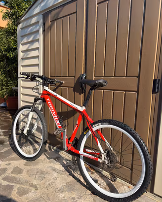 MOUNTAIN BIKE